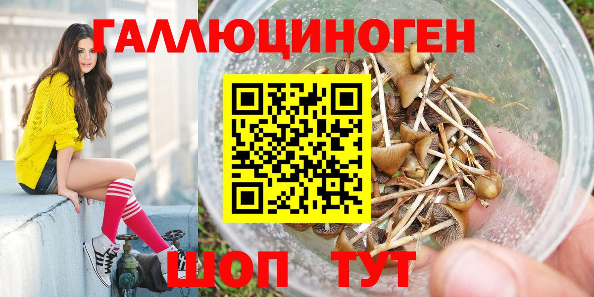 Галлюциногенные грибы Psilocybine cubensis  Вход с VPN  Галлюциногенные грибы Psilocybine cubensis  Зеленокумск 